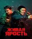 Живая ярость / Fo ze ngaan / The Furious (Кэндз...
